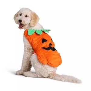 Thrills and Chills pumpkin dog costume